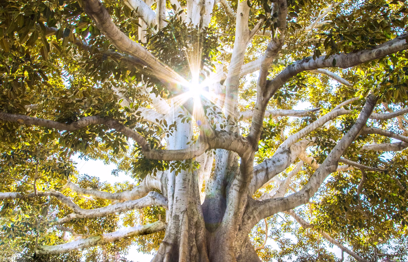 Антистресс практики для эксперта